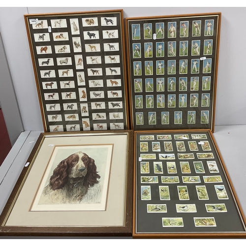 1023 - HD. Etching of Spaniel Dog, 31 x 23cm. Three Players cigarette card montages. (4)