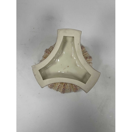 1051 - A Worcester Porcelain Tazza, the circular shell bowl with entwined three dolphin support and shaped ... 