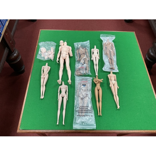 364 - Nine Various Headless Dolls Bodies. Both Female and Male. To Include Five Integrity Toys, Jason Wu F... 