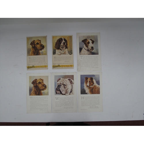 1348 - Trade Cards - Tetley Tea British Birds, topical times footballers (13), Spratt's ovals dog postcards... 