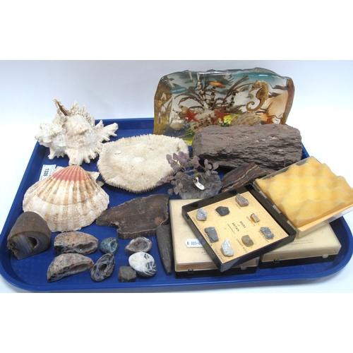 1328 - Collection of geological and maritime specimens, including three 