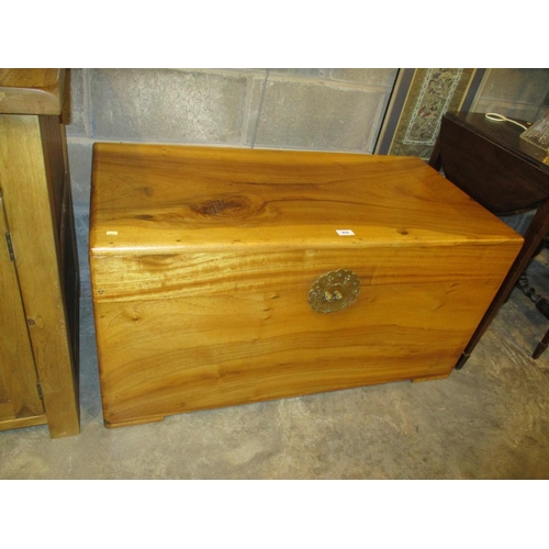 819 - Chinese Camphor Wood Trunk, 101x51cm