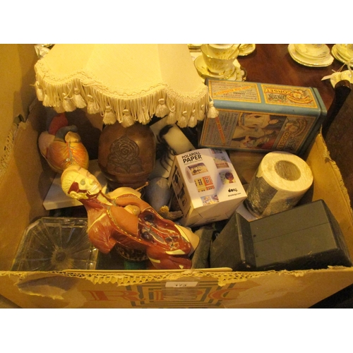 173 - Box with Anatomy Items, Lamp etc