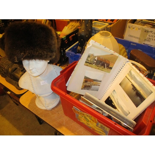 23 - Pottery Head, Fur Hat, Costume Jewellery etc (album of photographs withdrawn from lot)
