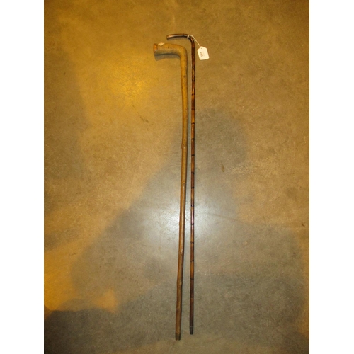 295 - Two Walking Sticks