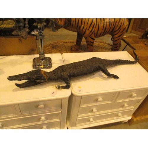 306 - Taxidermy of a Crocodile