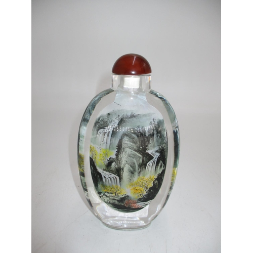 342 - Large Chinese Internal Painted Glass Snuff Bottle, 19cm