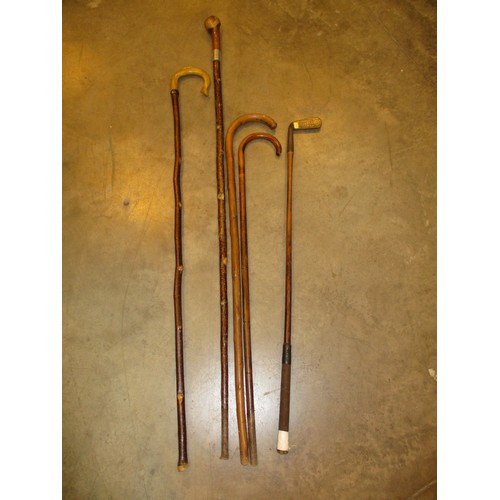 697 - Hickory Golf Club, 2 Walking Sticks, Crook and Wading Stick