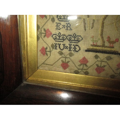 563 - 19th Century Rosewood Framed Sampler by Deas Ure 1821 Aged 11, 52x38cm