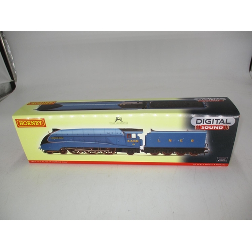 117 - R2805XS Hornby A4 Herring Gull No.4466 with Sound