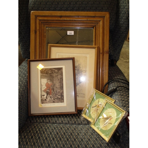 223 - Framed Mirror, Insect Print, 2 Etchings and 2 Bird Prints