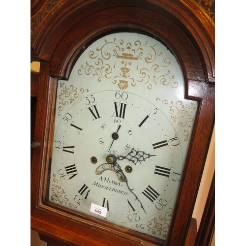 645 - A. Moffatt, Musselburgh Oak 8 Day Longcase Clock having a Painted Arch Top Dial