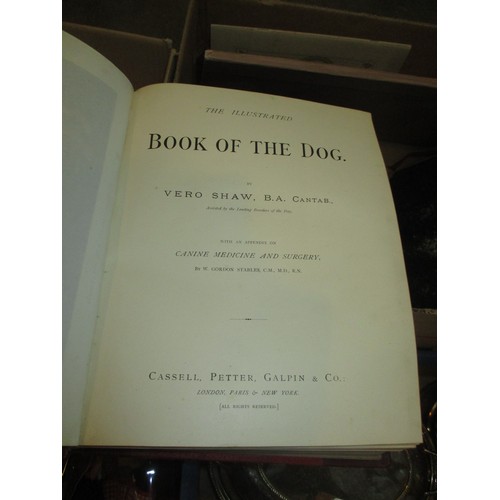 248 - Box of Vintage Books including Montrose by James Mackie Smith, The Book of the Dog and the Mysteriou... 