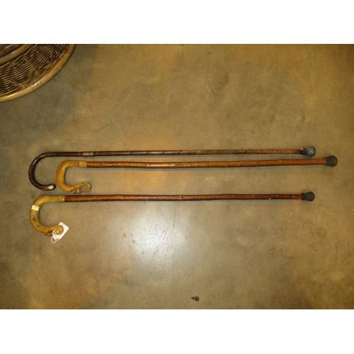 229 - Two Horn Handle Walking Sticks and Another with Silver Mounts