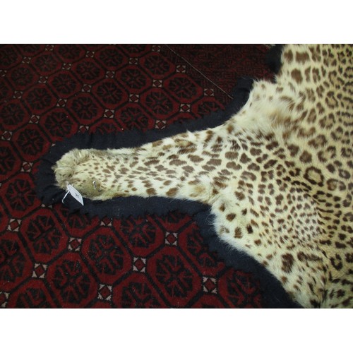 26 - Early 20th Century Leopard Skin Rug