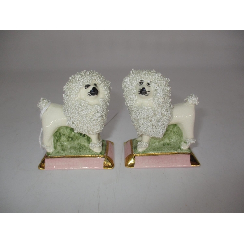 425 - Pair of Miniature Royale Stratford Poodles, 7cm high