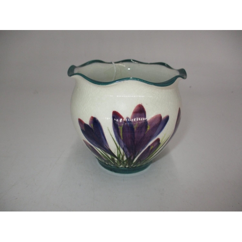 593 - Wemyss Crocus Fern Pot, 8cm