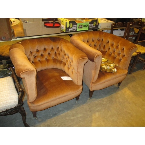 683 - Pair of Edwardian Deep Buttoned Horseshoe Back Chairs