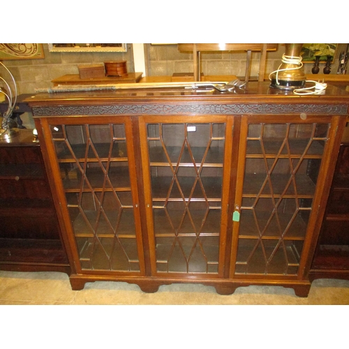 751 - 1920s Mahogany Astragal Glazed 3 Door Bookcase, 152cm