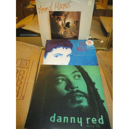 118 - Box of Records including Animal Magnet, Jane Wiedlin, Danny Red