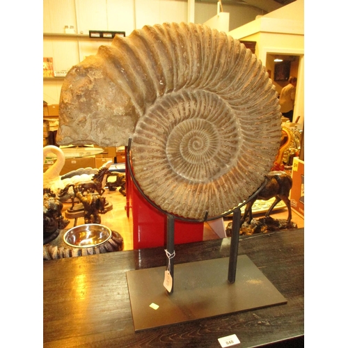 487A - Fossilised Ammonite on a Metal Stand, total height 59cm