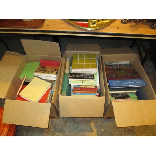 581 - Three Boxes of Books