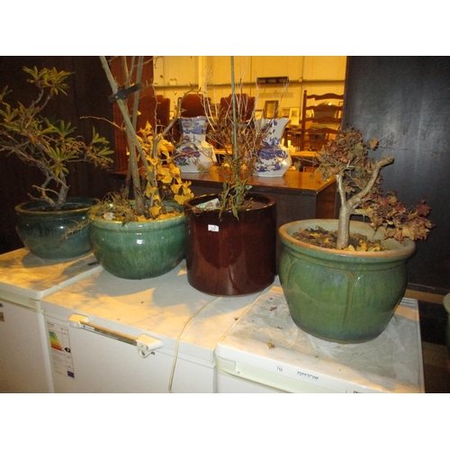 122 - Four Glazed Garden Pots