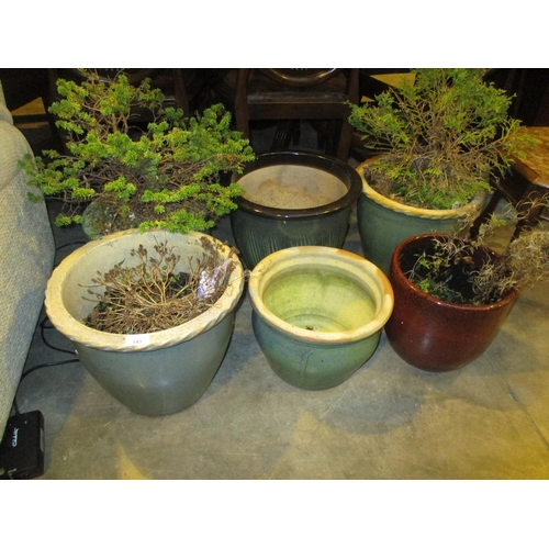 143 - Six Glazed Garden Pots