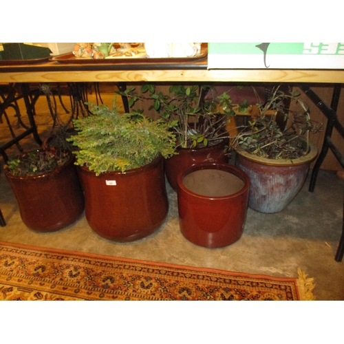 187 - Six Glazed Garden Pots