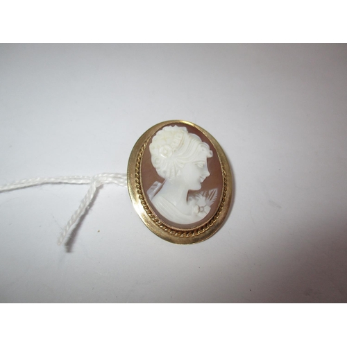 386 - Shell Cameo Brooch in 9ct Gold Mount