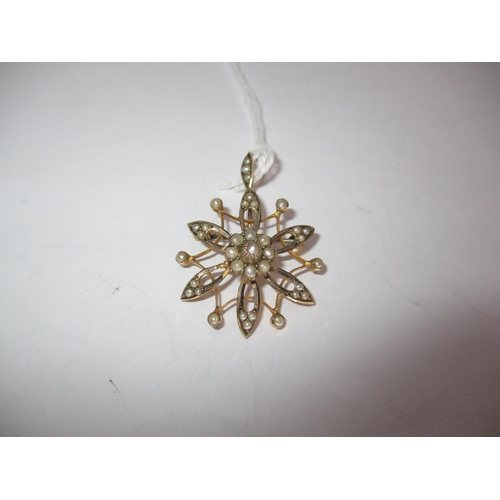 407 - 9ct Gold and Seed Pearl Star Flower Head Brooch/Pendant, 3.5g