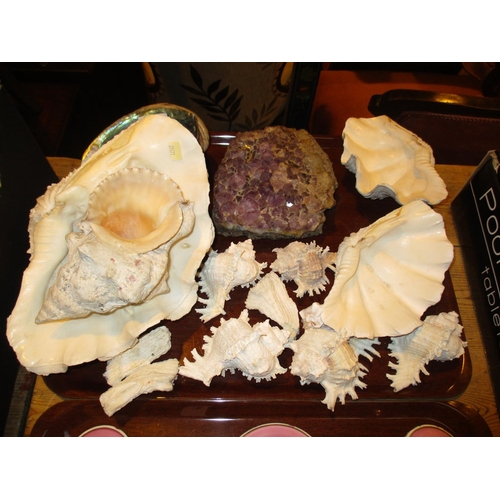 188 - Selection of Shells and Amethyst Crystal