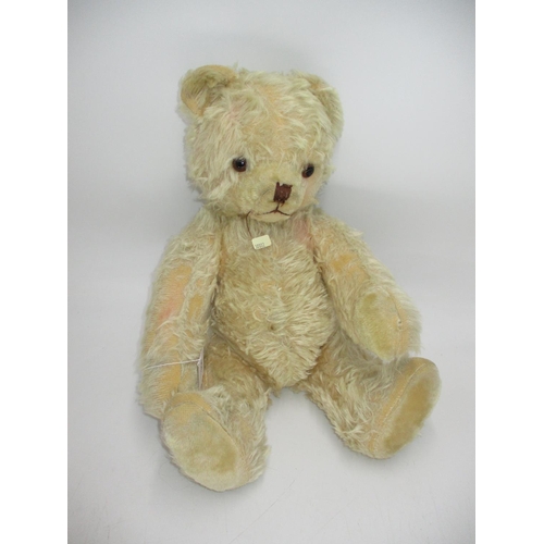 314 - Vintage Jointed Teddy Bear with Growler