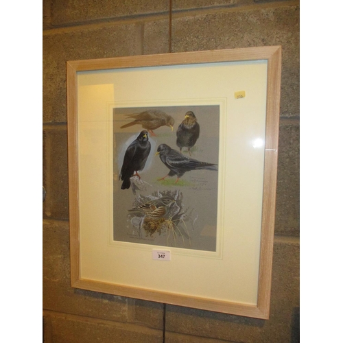 347 - Keith Brockie, Pastels of Birds, 27x21cm, along with a Book