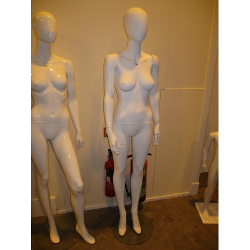 459 - Female Mannequin