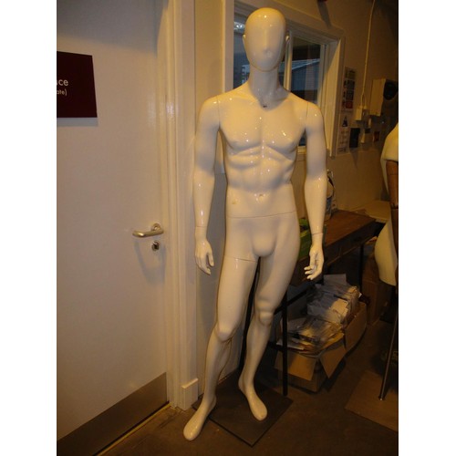 464 - Male Mannequin