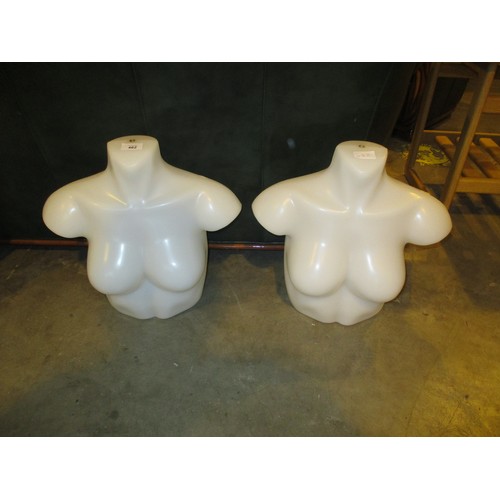 462 - Two Mannequin Busts