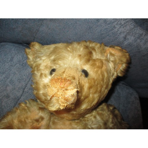 311 - Vintage Jointed Teddy with a Photograph