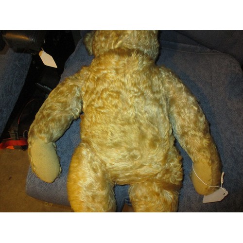 311 - Vintage Jointed Teddy with a Photograph