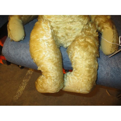 311 - Vintage Jointed Teddy with a Photograph