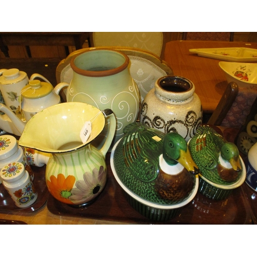 165 - Denby Vase, German Vase, Painted Jug and 2 Duck Tureens