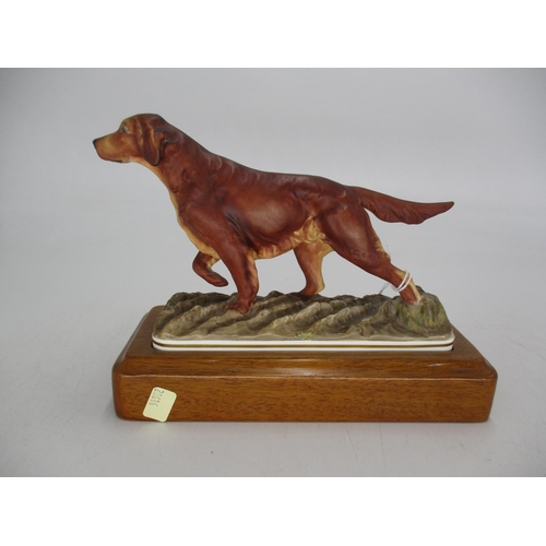 300 - Royal Worcester Irish Setter