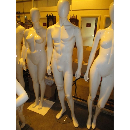 637 - Male Mannequin