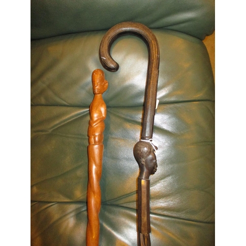 231 - Two African Walking Sticks