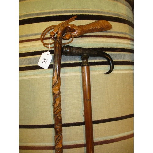 239 - Horn and Carved Claw Handle Walking Sticks