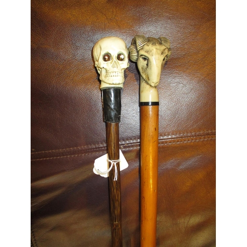 250 - Skull and Ram Head Handle Walking Stick