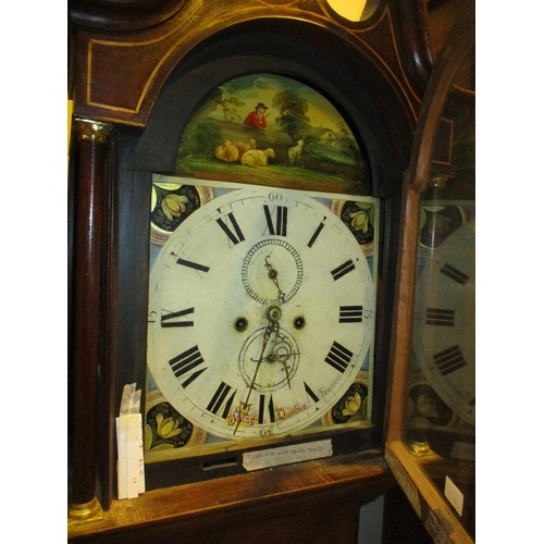 679 - Young Dundee Painted Dial 8 Day Oak Longcase Clock