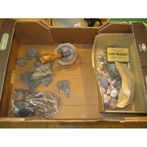 178 - Box of Fossils, Rocks, Agate, Mortar and Pestle etc