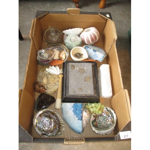 217 - Box of Shells, Agates etc