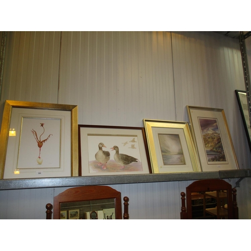 264 - Two Prints by Margaret MacGregor, and Another by McDonald, along with a Watercolour of Graylag Pair ... 